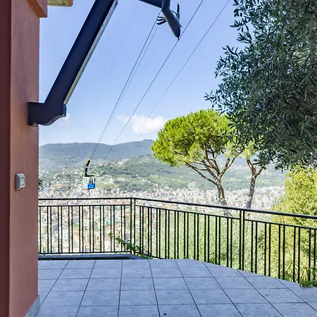 Joivy Vista